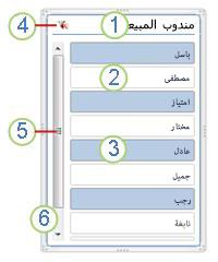 لقطة شاشة لعناصر مقسم طريقة العرض PivotTable.