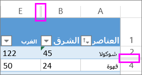 تشير الخطوط المزدوجة بين الصفوف والأعمدة إلى صفوف أو أعمدة مخفية