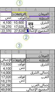 مثال حول تغيير التخطيط لأحد تقارير PivotTable