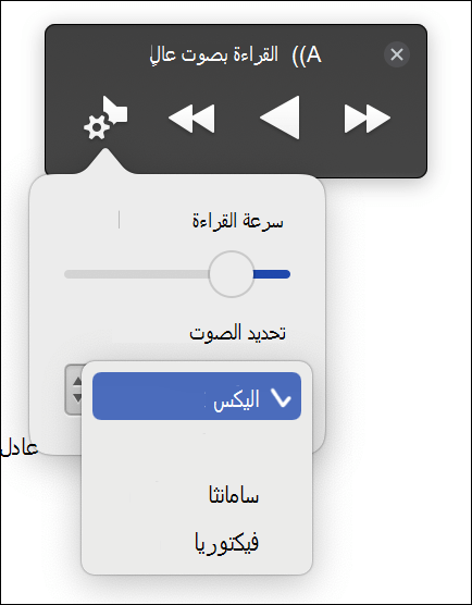أربعة خيارات تحديد صوت معروضة لميزة 