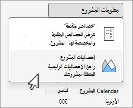 خيارات معلومات المشروع