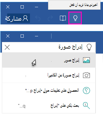شريط Word يعرض الحقل 