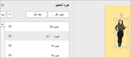 يعرض «جزء التحديد»