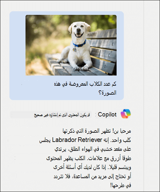 لقطة شاشة ل Copilot. تم لصق صورة كلب في جنبا إلى جنب مع المطالبة كم عدد الكلاب التي تظهر في هذه الصورة؟ استجابت Copilot بدقة وقدمت وصفا إضافيا للصورة.