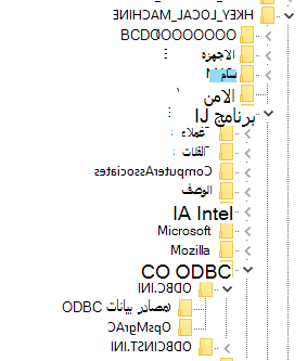  مفتاح فرعيODBC.INI