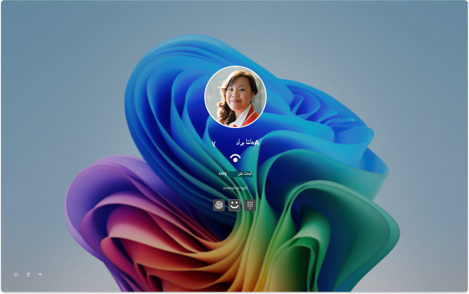 Screenshot of the Windows 11 sign-in screen.