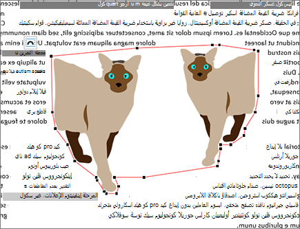 نقاط الالتفاف غير المكتمولة