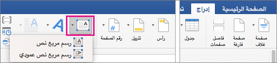 في علامة التبويب إدراج، يتم تمييز مربع النص.