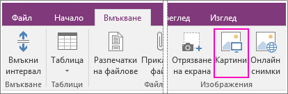 Екранна снимка на бутона за вмъкване на картини в OneNote 2016.