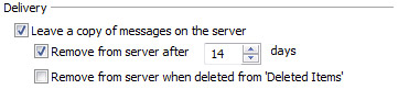 Delivery section on the Advanced tab of the Internet E-mail Settings dialog box