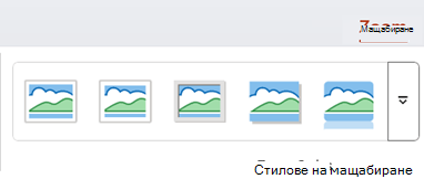 Разделът 