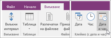 Екранна снимка на бутона за дата и час в OneNote 2016.