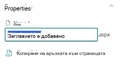 Име на страница под подробните данни за страницата