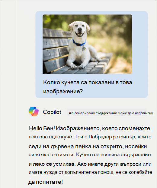 Екранна снимка на Copilot. Изображение на куче е поставено заедно с подканата Колко кучета са показани на това изображение? Copilot отговори точно и предостави допълнително описание на изображението.