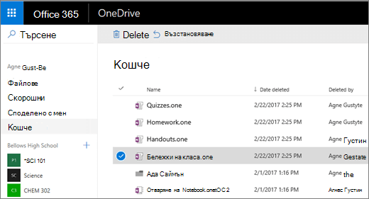 Кошче на OneDrive със списък на страниците на бележника.