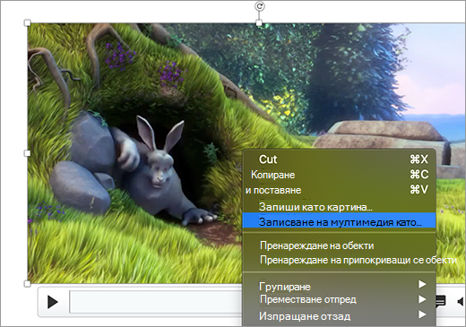 Слайд, съдържащ изображение, и командата 