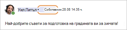 Екранна снимка, показваща значки на собственици на общността в Teams (безплатно).