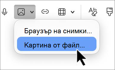 'outlook-mac-insert-picture-screenshot