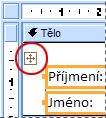 Volič rozložení ve formuláři v návrhovém zobrazení