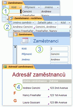 Data z tabulek použitá v dotazu, formuláři a sestavě