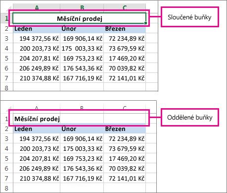 Před oddělením buněk a po něm