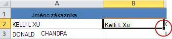 Small black square for filling down the formula