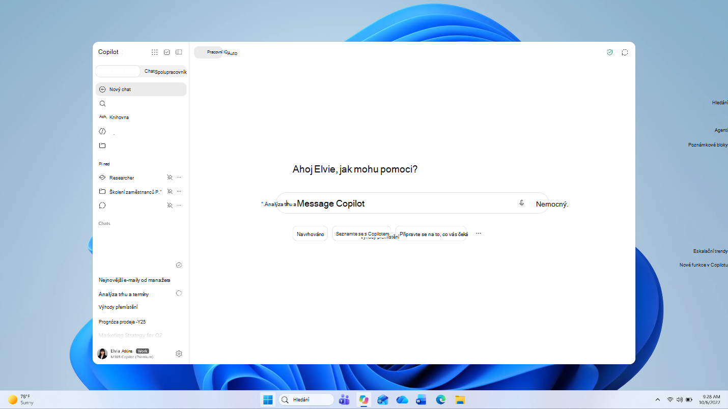 Snímek obrazovky znázorňující domovskou obrazovku aplikace Microsoft Copilot na ploše.