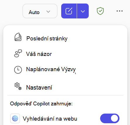 Snímek obrazovky s přepínačem webového vyhledávání v nástroji Copilot Chat