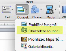 Na pásu karet na kartě Domů v části Vložit klikněte na Obrázek > ze souboru.