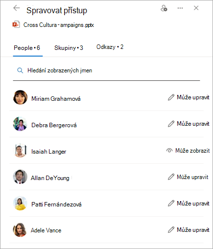 Panel pro správu přístupu zobrazující oprávnění ke sdílenému souboru