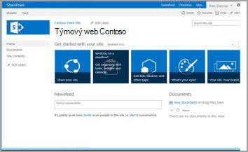 Šablona Týmový web