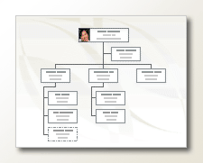 organizační diagram