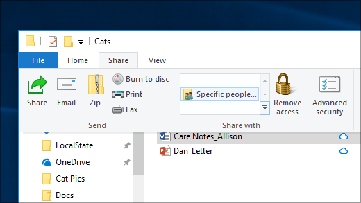 Sharing a file with specific people on a network