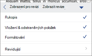 Zobrazit revize