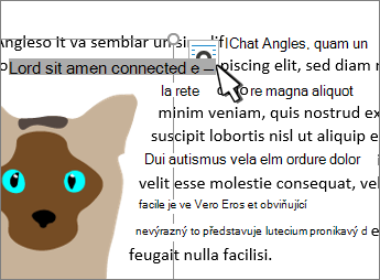 Layout image button on a selected picture