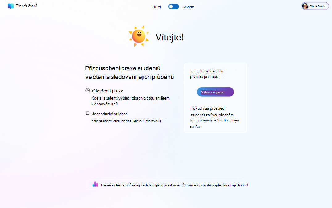 Přizpůsobit