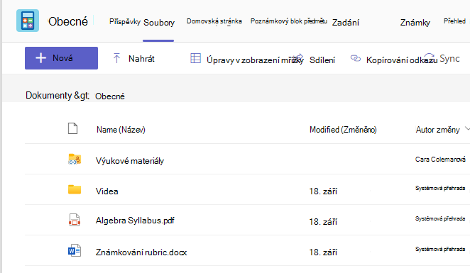 Snímek obrazovky zobrazující kartu Files zobrazující výukové materiály a sdílené soubory.