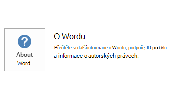 The screenshot for Word MSI