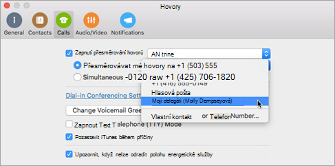 Nastavení hovorů na mé delegáty