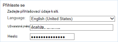 Přihlásit se pomocí přihlašovacích údajů k síti