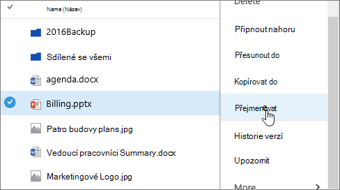 Nabídka Elipsa se zvýrazněnou možností Přejmenovat
