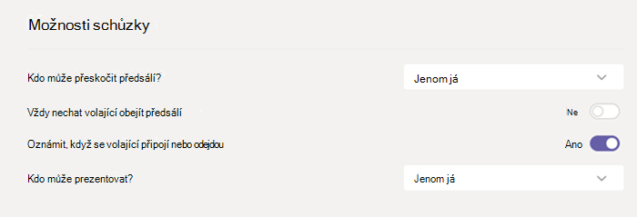 Možnosti schůzky v Teams