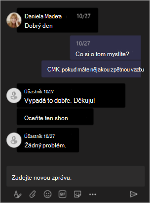 Snímek obrazovky zobrazující zobrazení organizátora, když jsou na schůzce nebo webináři v Teams skrytá jména.