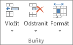 Skupina Buňky na kartě Domů