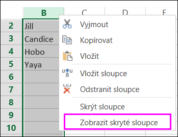 Možnost zobrazení