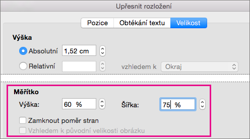 Na kartě Velikost v dialogovém okně Rozšířené rozložení jsou zvýrazněné možnosti měřítka.