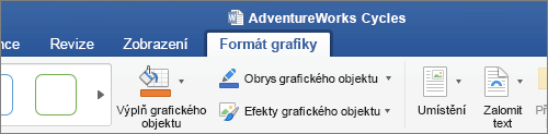 Vybraný obrázek SVG s kartou Grafický formát na pásu karet