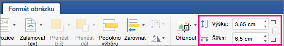 Karta Formát obrázku se zvýrazněnými poli Výška a Šířka