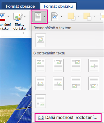 Na kartě Formát obrázku jsou zvýrazněné možnosti Umístění a Další možnosti rozložení.