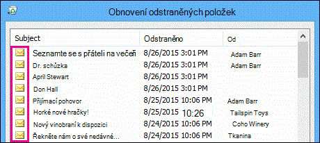 Všechny typy položek ve složce Obnovitelné položky mají stejnou ikonu.
